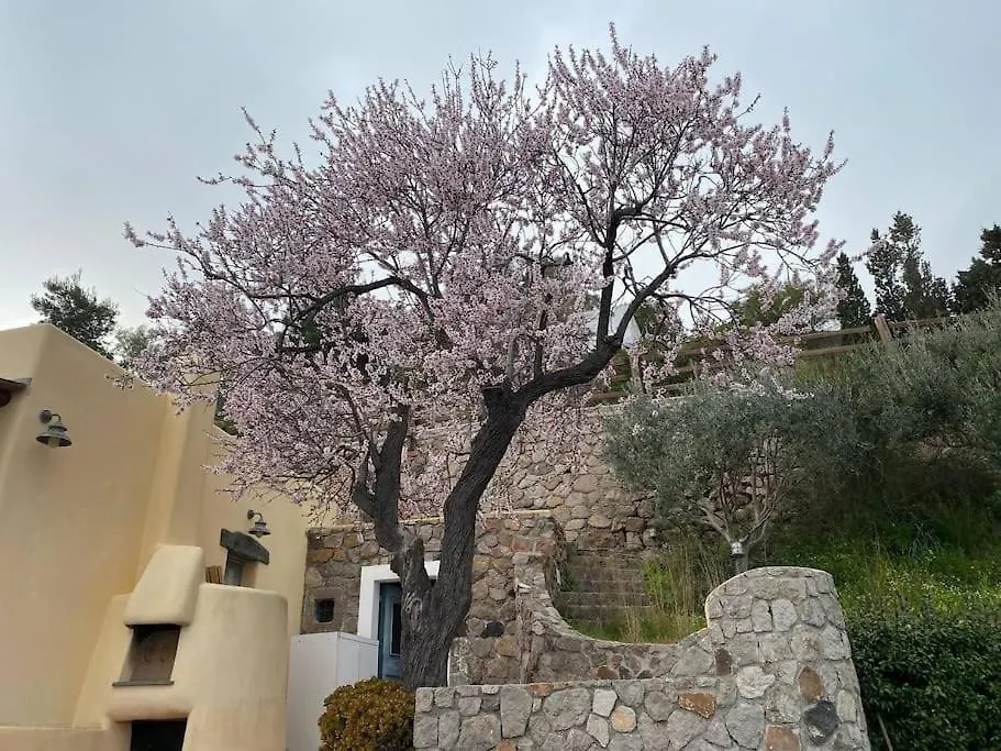 Casa vacanze Villa La Casa del Mandorlo San Salvatore