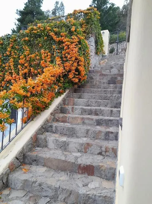 Villa La Casa del Mandorlo San Salvatore  0*, San Salvatore (Messina) Italia