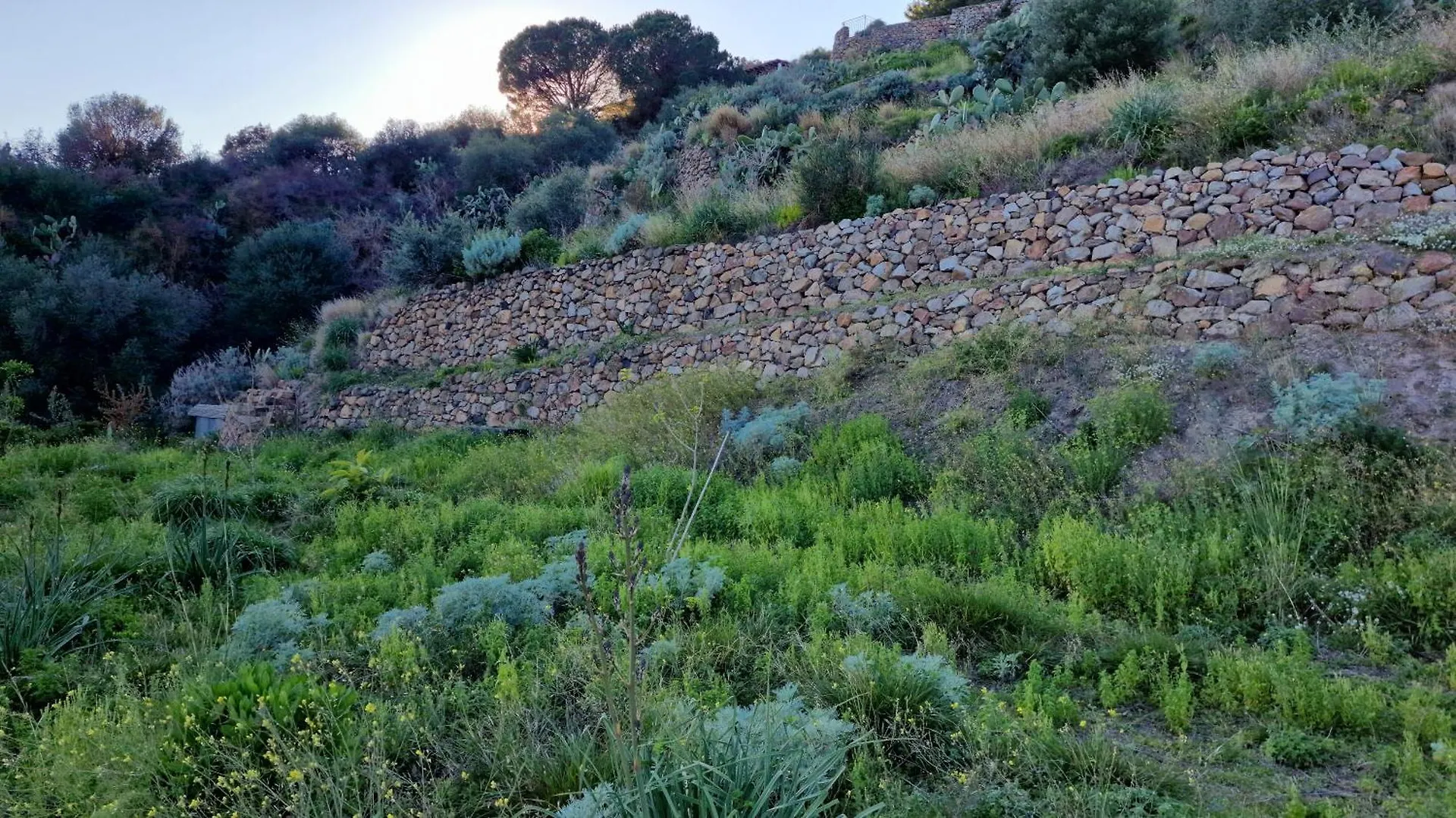 Casa vacanze Villa La Casa del Mandorlo San Salvatore  Italia